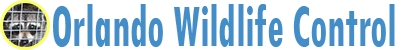 Orlando Wildlife